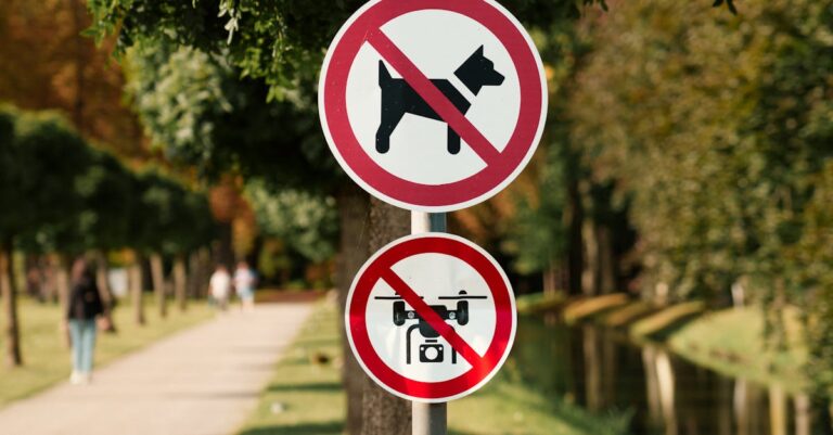 découvrez comment le contrôle parental aide à protéger vos enfants en ligne, en filtrant les contenus inadaptés et en limitant l’accès aux applications ou sites indésirables.