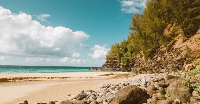 découvrez les meilleurs outils de free remote control pour gérer vos appareils à distance facilement et gratuitement. contrôlez pc, mac ou mobiles où que vous soyez sans frais !