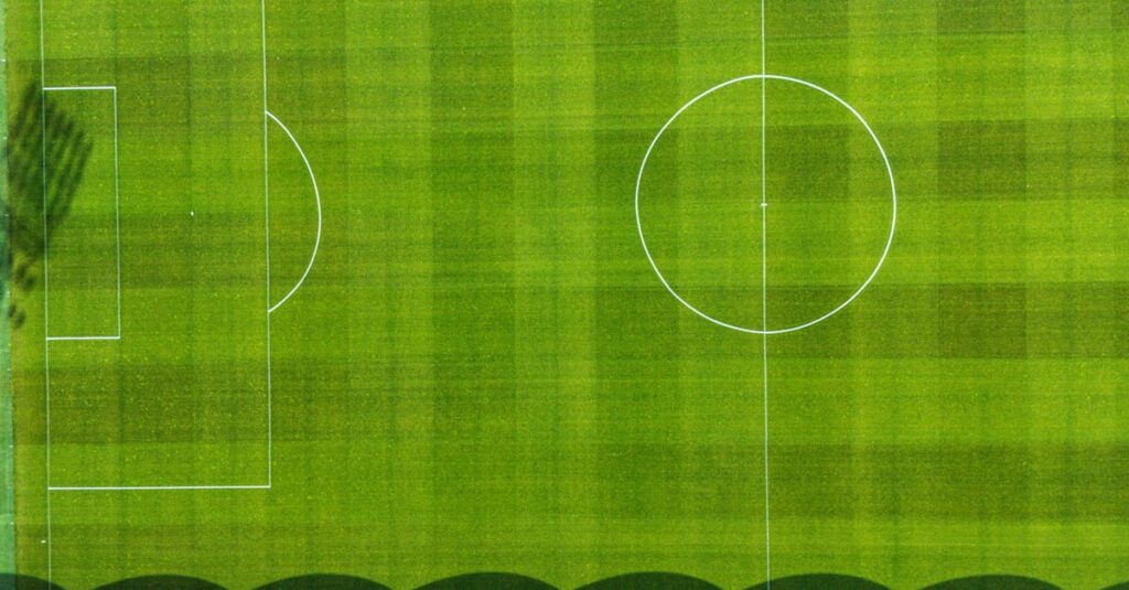 découvrez la freebox mini 4k : une box android tv puissante offrant internet haut débit, télévision hd, replay, applications et de nombreux services inclus pour toute la famille.