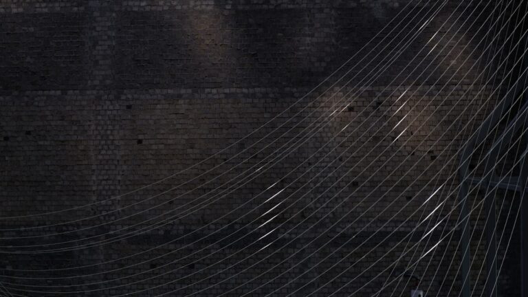 regardez les émissions, séries et magazines de tf1 en replay gratuitement et en illimité. ne manquez plus vos programmes préférés grâce à tf1 replay !